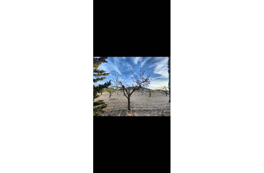 3 chambre Finca/Maison de Campagne à vendre à Yecla avec piscine garage - 210 000 € (Ref: 9473644)