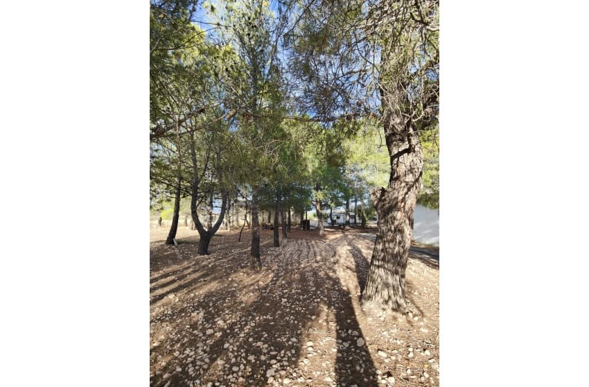 3 chambre Finca/Maison de Campagne à vendre à Yecla avec piscine garage - 210 000 € (Ref: 9473644)