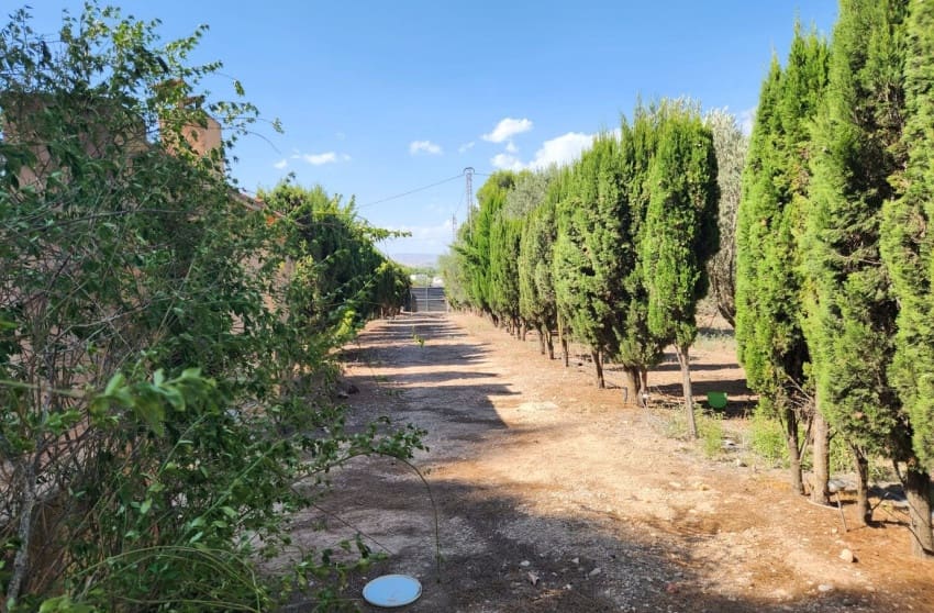 4 slaapkamer Villa te koop in Villena met zwembad - € 299.995 (Ref: 9506638)