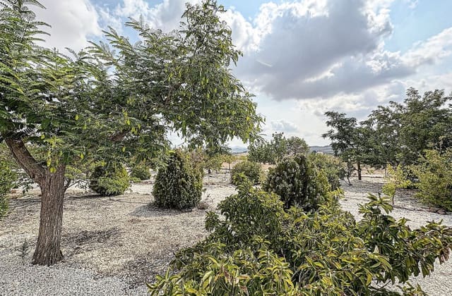 5 soverom Villa til salgs i Pinoso med svømmebasseng - € 425 000 (Ref: 9536477)