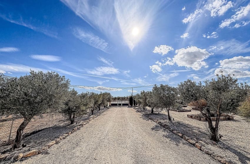 4 makuuhuone Huvila myytävänä paikassa Pinoso mukana uima-altaan - 525 000 € (Ref: 9536479)