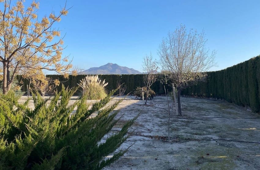 4 soveværelse Villa til salg i Salinas med swimmingpool - € 399.995 (Ref: 9536482)