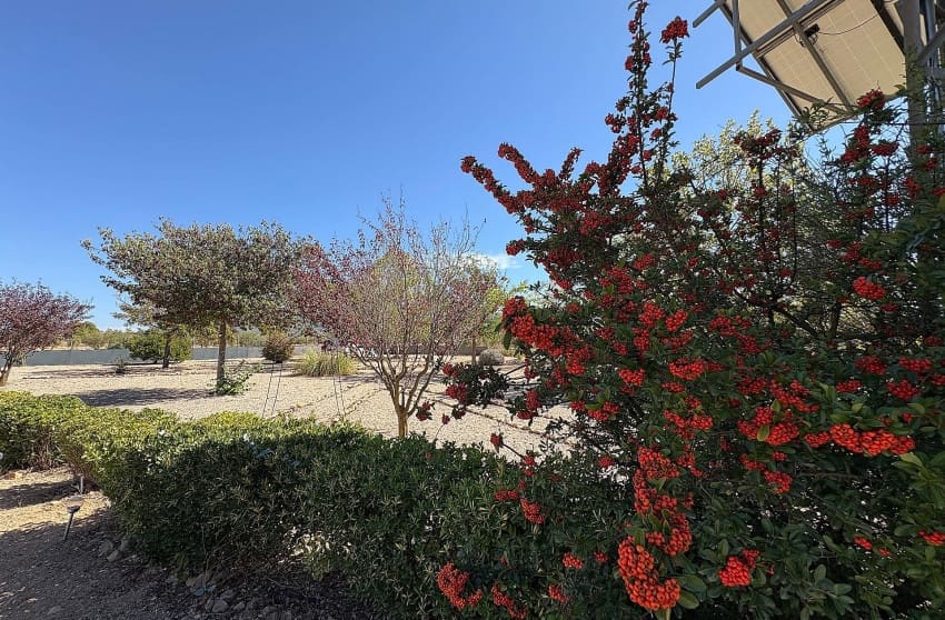 Chalet de 3 habitaciones en Biar en venta con piscina - 349.995 € (Ref: 9536483)