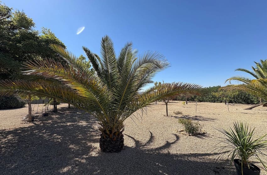 Chalet de 3 habitaciones en Biar en venta con piscina - 349.995 € (Ref: 9536483)