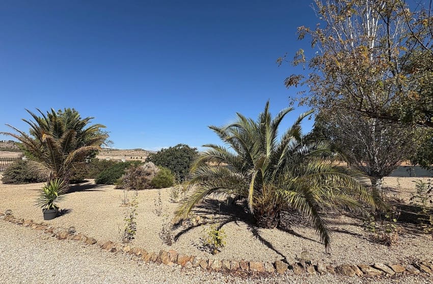 Chalet de 3 habitaciones en Biar en venta con piscina - 349.995 € (Ref: 9536483)