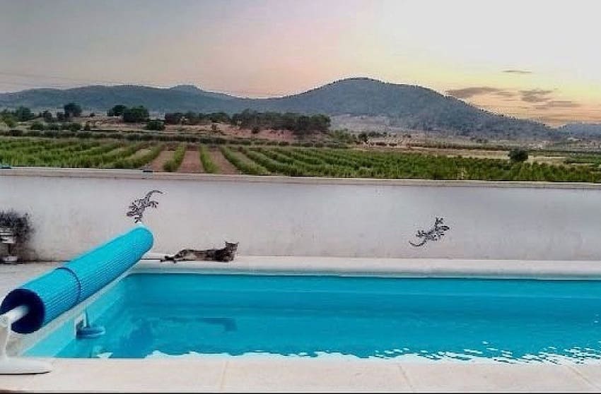 5 chambre Villa/Maison Semi-Mitoyenne à vendre à Pinoso avec piscine - 339 995 € (Ref: 9536485)