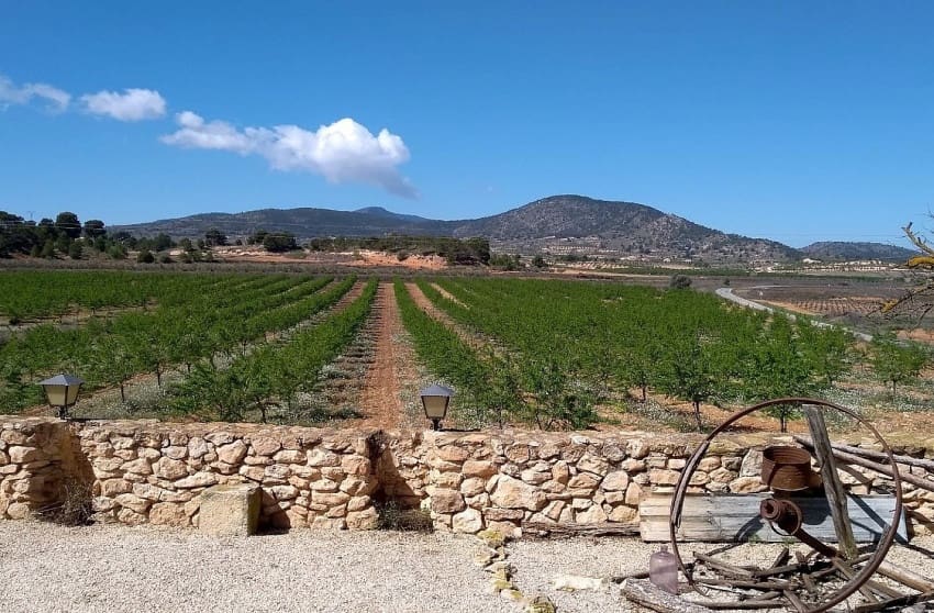 5 chambre Villa/Maison Semi-Mitoyenne à vendre à Pinoso avec piscine - 339 995 € (Ref: 9536485)