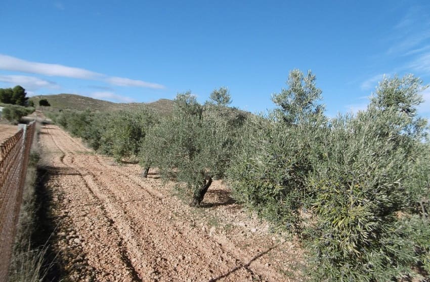 2 quarto Quinta/Casa Rural para venda em Yecla - 128 900 € (Ref: 9536489)