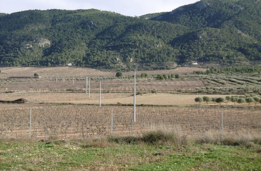 2 quarto Quinta/Casa Rural para venda em Yecla - 128 900 € (Ref: 9536489)