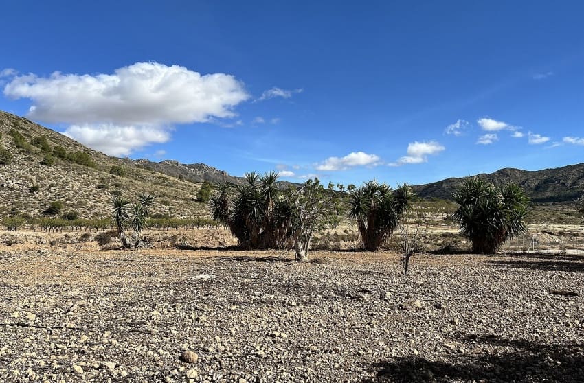 4 quarto Quinta/Casa Rural para venda em El Canton com piscina - 149 950 € (Ref: 9536491)