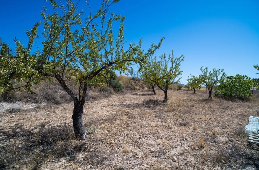 3 makuuhuone Huvila myytävänä paikassa Pinoso mukana uima-altaan - 349 995 € (Ref: 9570225)