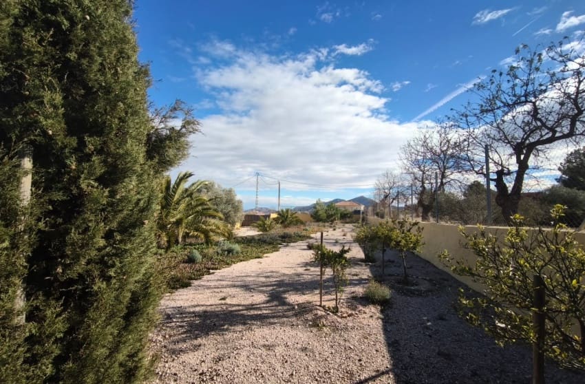 3 Zimmer Villa zu verkaufen in Hondon de los Frailes mit Pool - 285.000 € (Ref: 9599804)