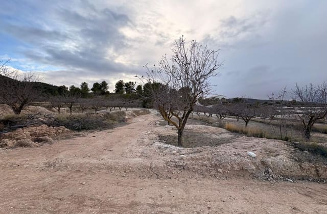 Chalet de 3 habitaciones en Encebras, Pinoso en venta con piscina - 399.995 € (Ref: 9599811)