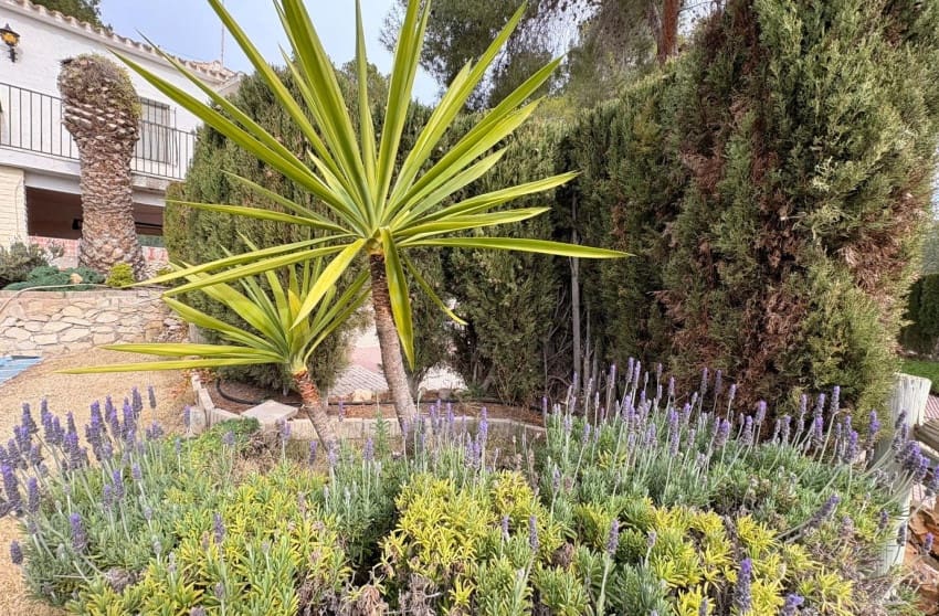 4 soverom Villa til salgs i Sax med svømmebasseng - € 315 000 (Ref: 9599812)