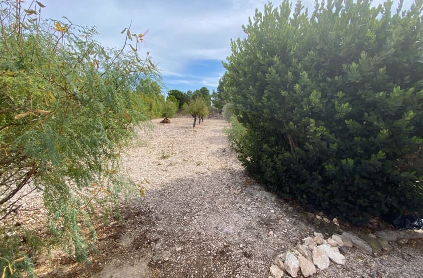 5 bedroom Villa for sale in Sax with pool - € 375,000 (Ref: 9601528)