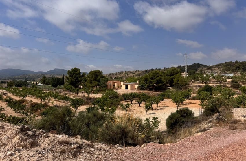 3 sypialnia Willa na sprzedaż w Monovar / Monover z basenem - 259 995 € (Ref: 9601532)