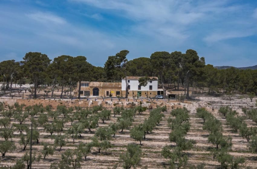 12 makuuhuone Maalaistalo myytävänä paikassa Castalla mukana uima-altaan - 799 000 € (Ref: 9601543)