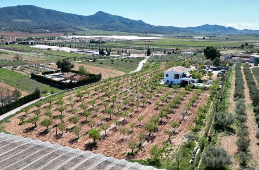 Chalet de 7 habitaciones en Hondón de las Nieves en venta con piscina - 725.000 € (Ref: 9700282)