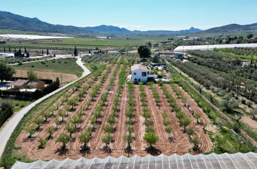 Chalet de 7 habitaciones en Hondón de las Nieves en venta con piscina - 725.000 € (Ref: 9700282)