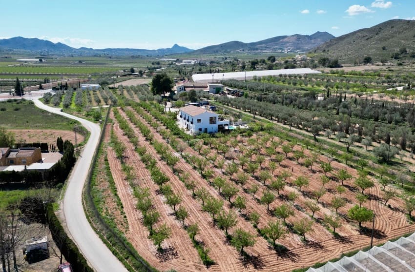 Chalet de 7 habitaciones en Hondón de las Nieves en venta con piscina - 725.000 € (Ref: 9700282)