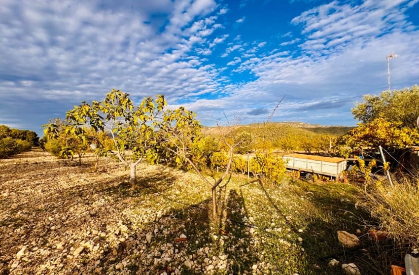 3 bedroom Villa for sale in Monovar / Monover with pool - € 185,000 (Ref: 9700290)