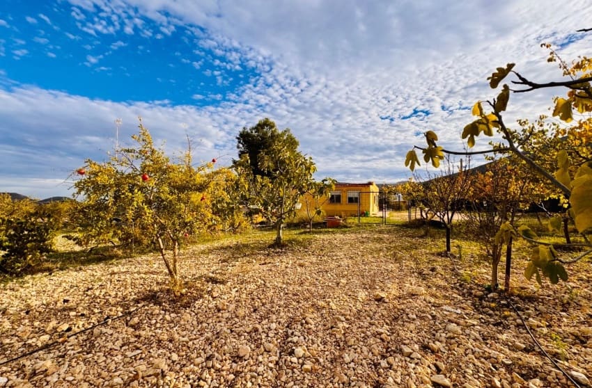 3 bedroom Villa for sale in Monovar / Monover with pool - € 185,000 (Ref: 9700290)