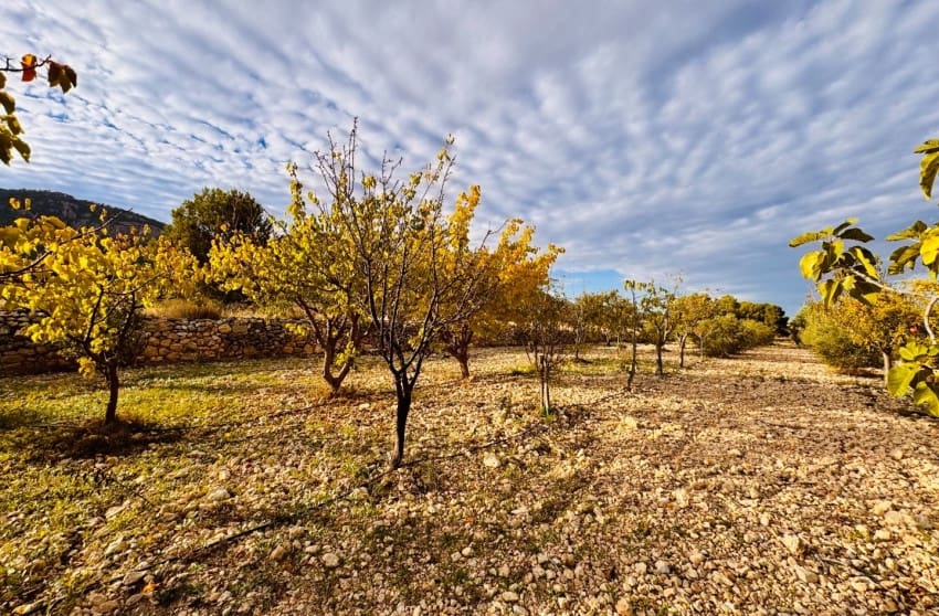 3 bedroom Villa for sale in Monovar / Monover with pool - € 185,000 (Ref: 9700290)