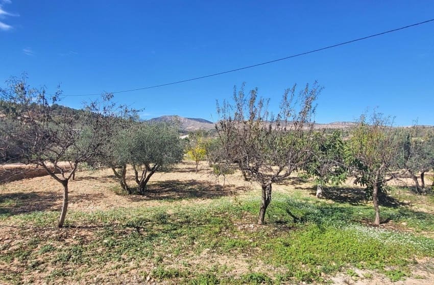 2 soveværelse Villa til salg i La Romana med swimmingpool - € 275.000 (Ref: 9700297)