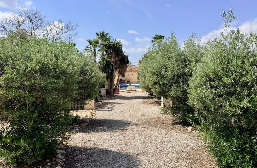 2 bedroom Villa for sale in Hondon de los Frailes with pool - € 299,950 (Ref: 9868092)