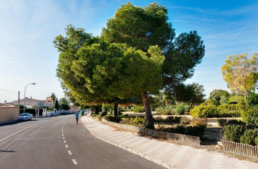 2 chambre Bungalow à vendre à Torrevieja avec piscine garage - 129 999 € (Ref: 9868096)