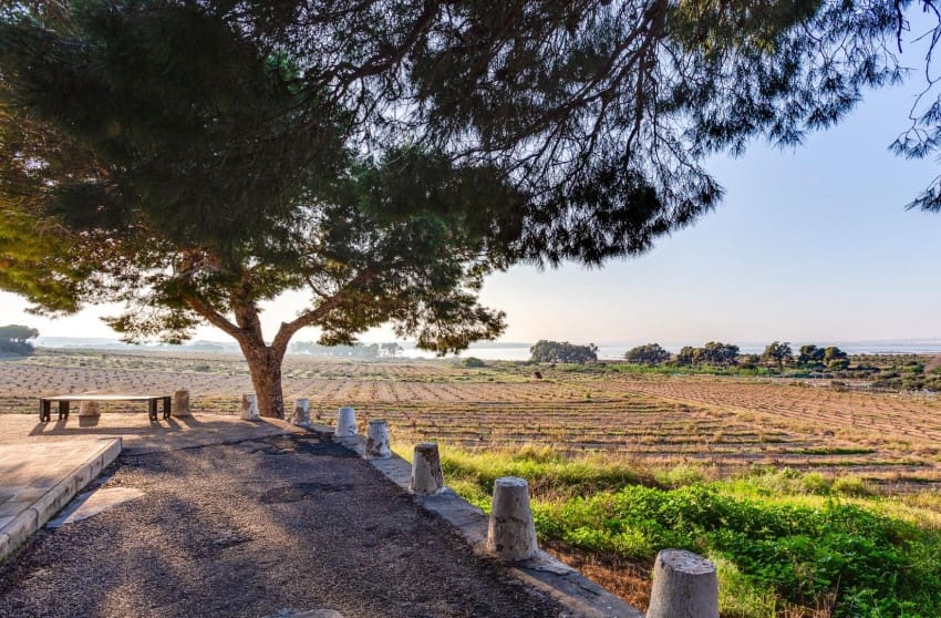 2 chambre Bungalow à vendre à Torrevieja avec piscine garage - 129 999 € (Ref: 9868096)