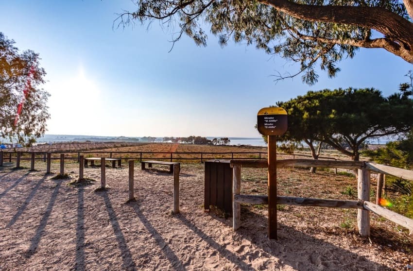 2 chambre Bungalow à vendre à Torrevieja avec piscine garage - 129 999 € (Ref: 9868096)