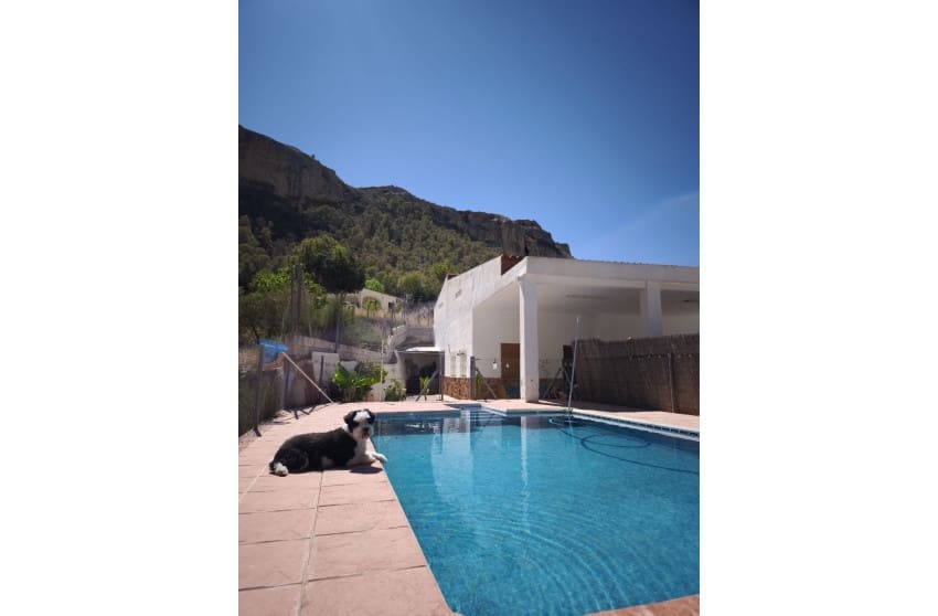 4 soveværelse Finca/Landehus til salg i Crevillente / Crevillent med swimmingpool garage - € 245.000 (Ref: 9895178)