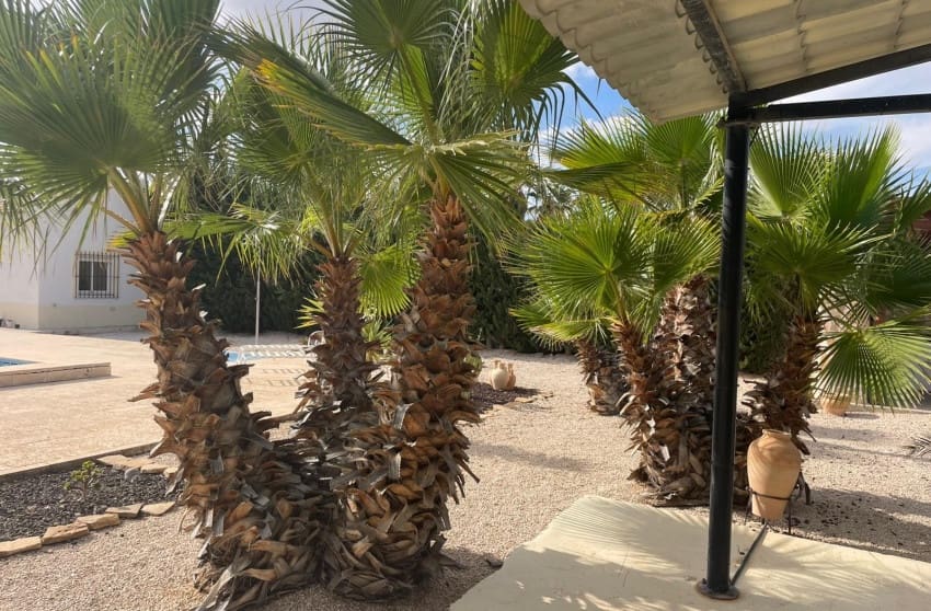 5 quarto Quinta/Casa Rural para venda em Abanilla com piscina - 390 000 € (Ref: 9895179)