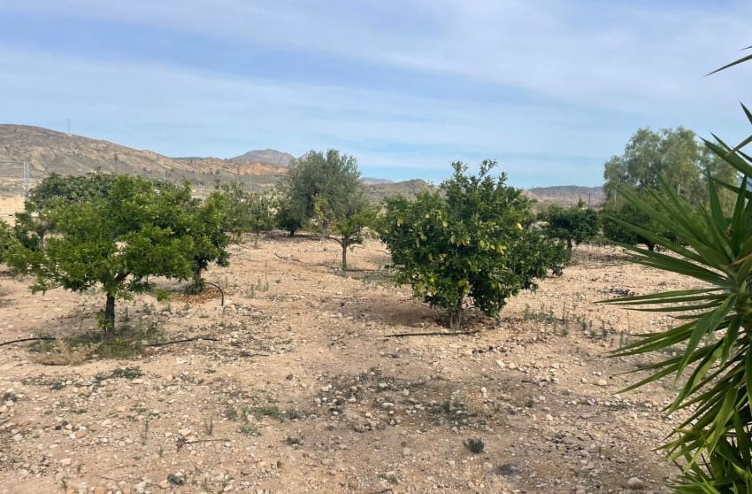 5 quarto Quinta/Casa Rural para venda em Abanilla com piscina - 390 000 € (Ref: 9895179)