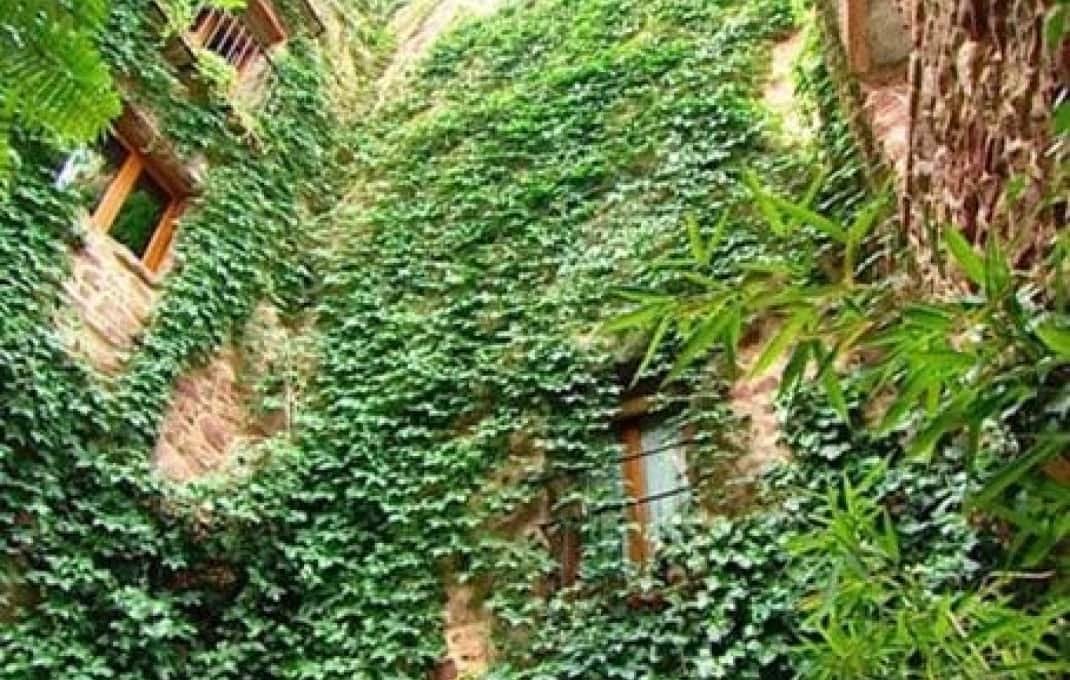 9 quarto Pousada para venda em Vilafames - 995 000 € (Ref: 8895314)