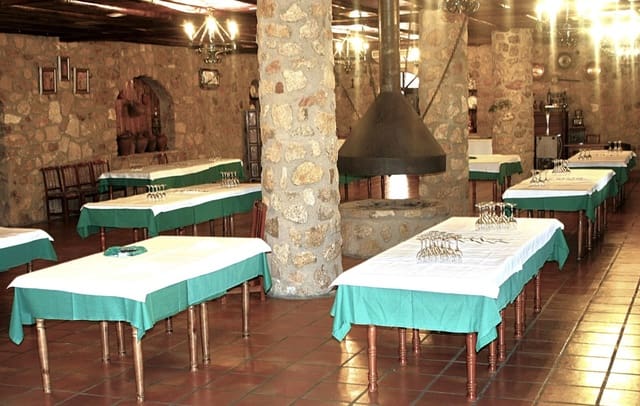 9 bedroom Hotel for sale in Valencia de Alcántara with pool garage - € 1,100,000 (Ref: 8895332)