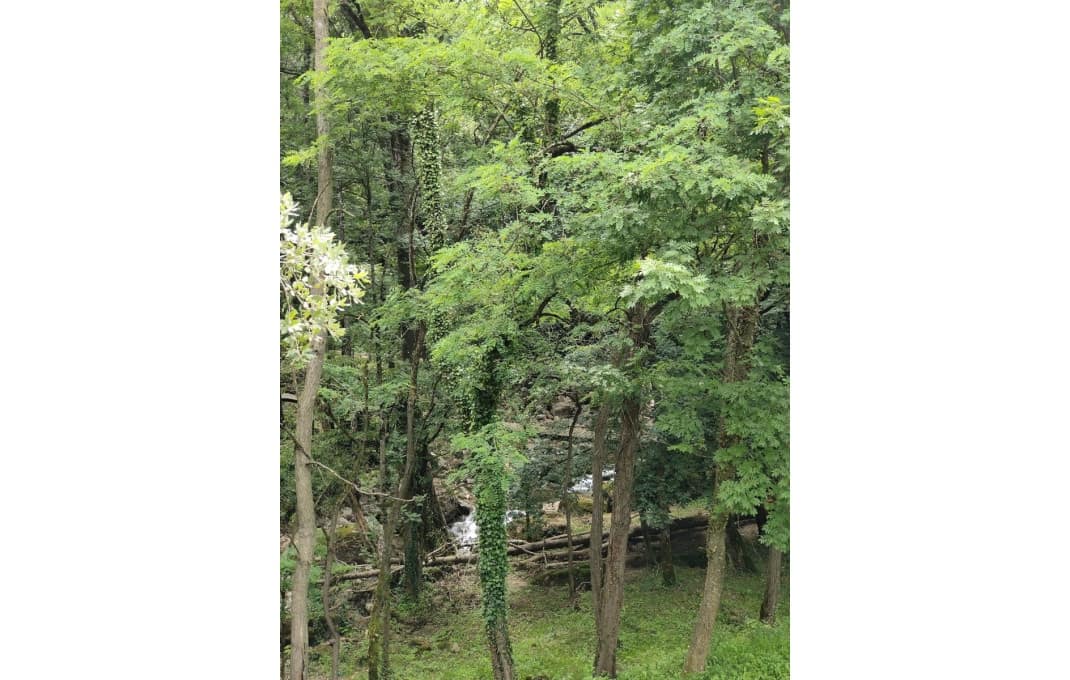 4 bedroom Hotel for sale in Olot - € 760,000 (Ref: 8897980)