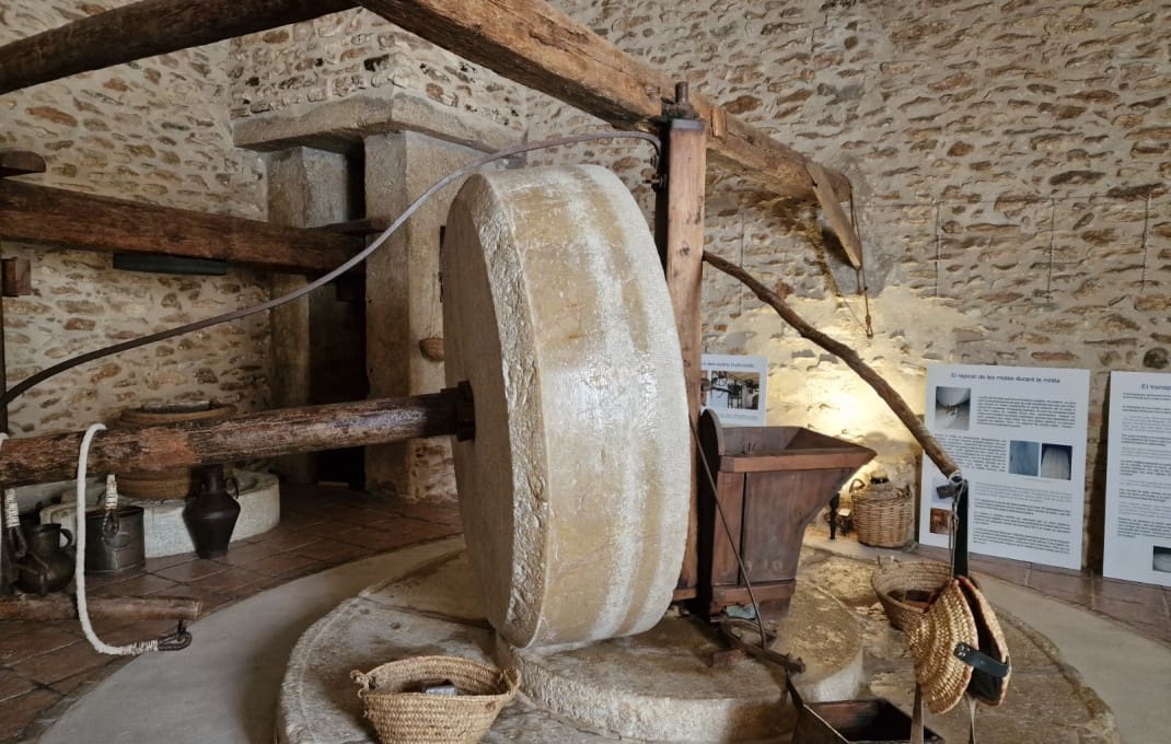 10 bedroom Hotel for sale in Tarragona city - € 590,000 (Ref: 8897999)