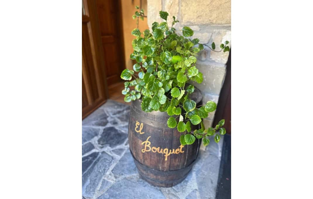 9 soveværelse Hotel til salg i La Vall de Boi - € 950.000 (Ref: 8898011)