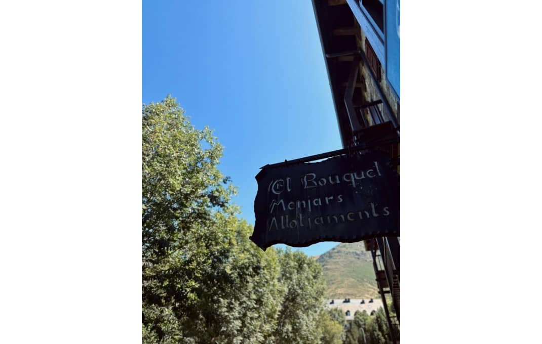 9 soveværelse Hotel til salg i La Vall de Boi - € 950.000 (Ref: 8898011)