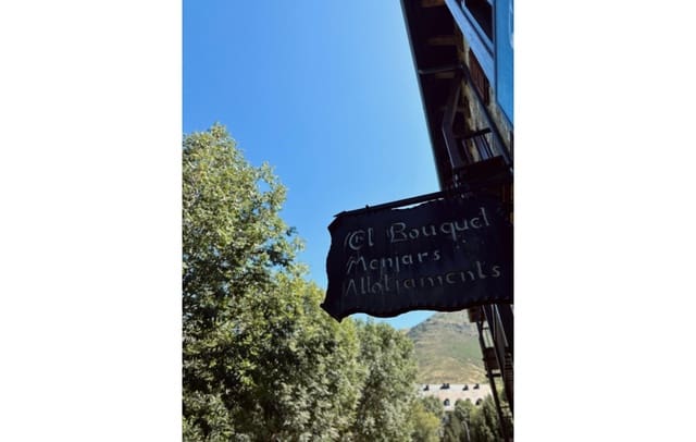 9 bedroom Hotel for sale in La Vall de Boí - € 950,000 (Ref: 8898011)