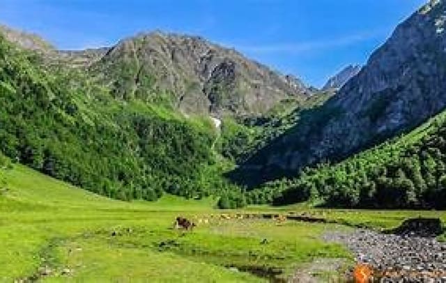 58 bedroom Hotel for sale in Vielha, Vielha e Mijaran - € 6,000,000 (Ref: 8898019)