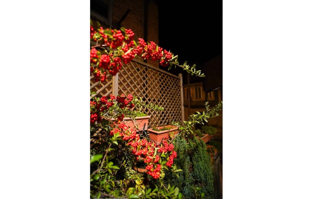 12 soveværelse Hotel til salg i Quintanar de la Sierra med garage - € 4.500.000 (Ref: 8912146)