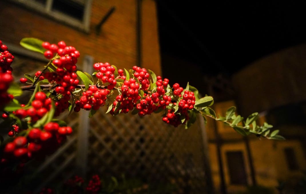 12 soveværelse Hotel til salg i Quintanar de la Sierra med garage - € 4.500.000 (Ref: 8912146)