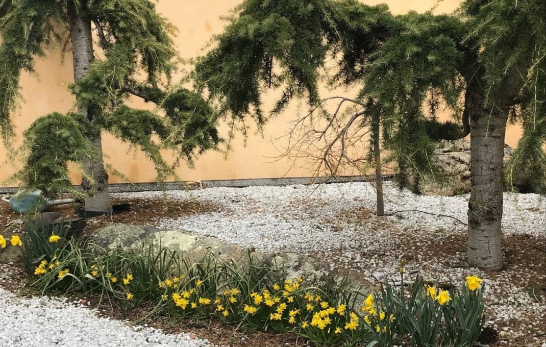 Hotel til salg i San Esteban del Valle med swimmingpool - € 697.500 (Ref: 9030766)