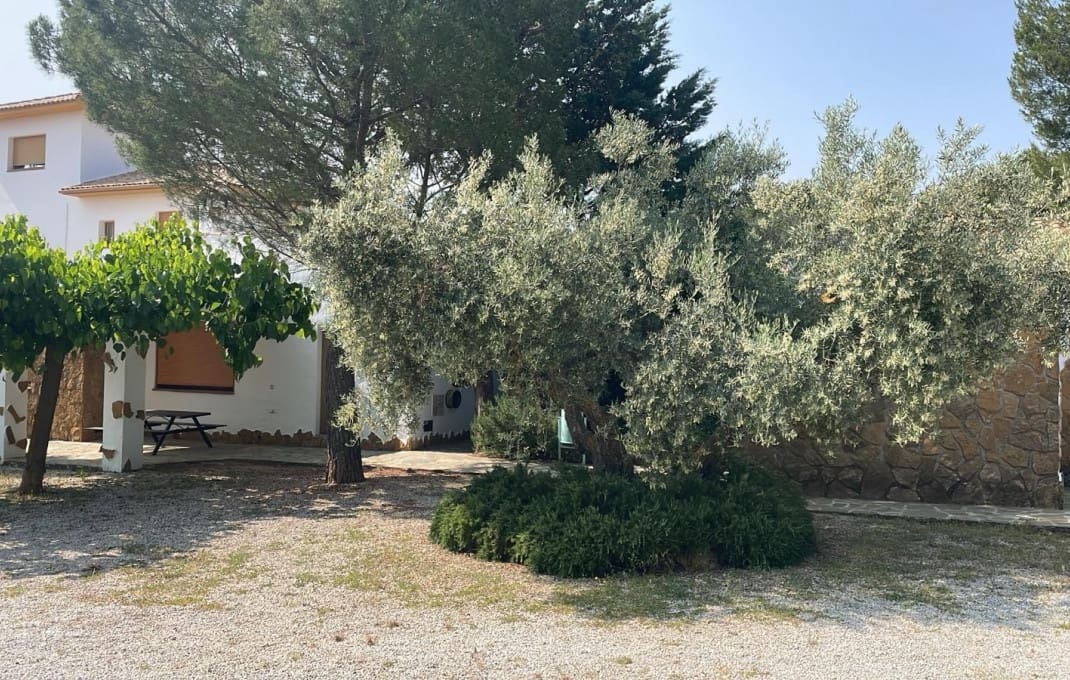 13 soveværelse Hotel til salg i Pozo Alcon med swimmingpool - € 850.000 (Ref: 9031299)