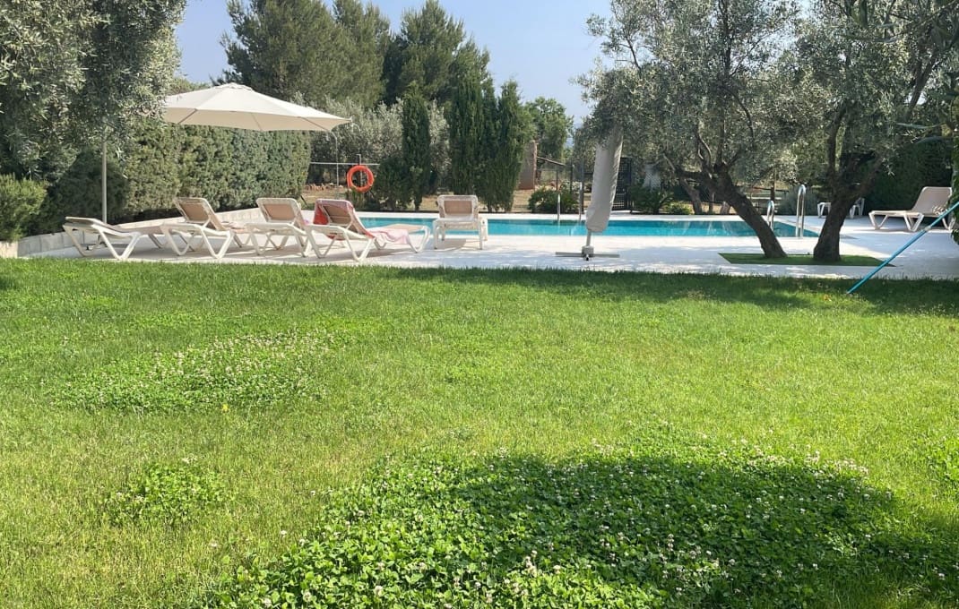 13 soveværelse Hotel til salg i Pozo Alcon med swimmingpool - € 850.000 (Ref: 9031299)