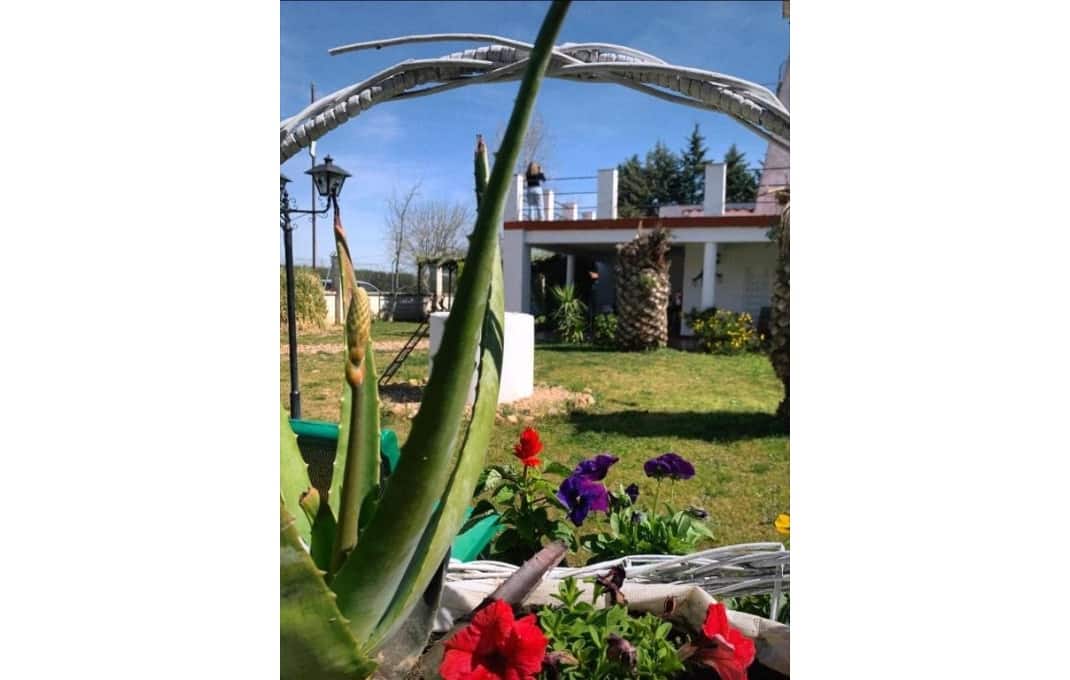 15 soveværelse Hotel til salg i Montijo med swimmingpool - € 323.000 (Ref: 9053611)