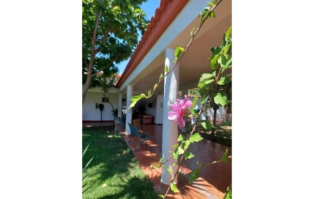 15 soveværelse Hotel til salg i Montijo med swimmingpool - € 323.000 (Ref: 9053611)